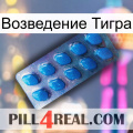 Возведение Тигра viagra1